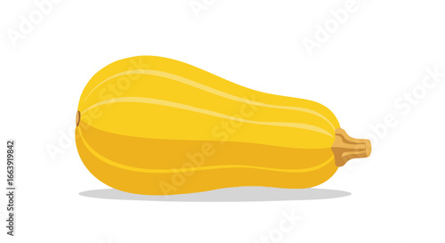 Minimalistic butternut squash illustration conveying organic farming and healthy eating habits, ideal for recipe books and nutritional guides projects