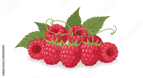 Vibrant Vector Illustration of Ripe Raspberries with Verdant Foliage Against a Clean White Backdrop depicting healthy eating and fresh ingredients