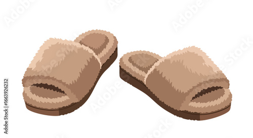 Cozy Comfort: Pair of Fuzzy Beige Slippers Ready for Relaxation and Warmth At Home