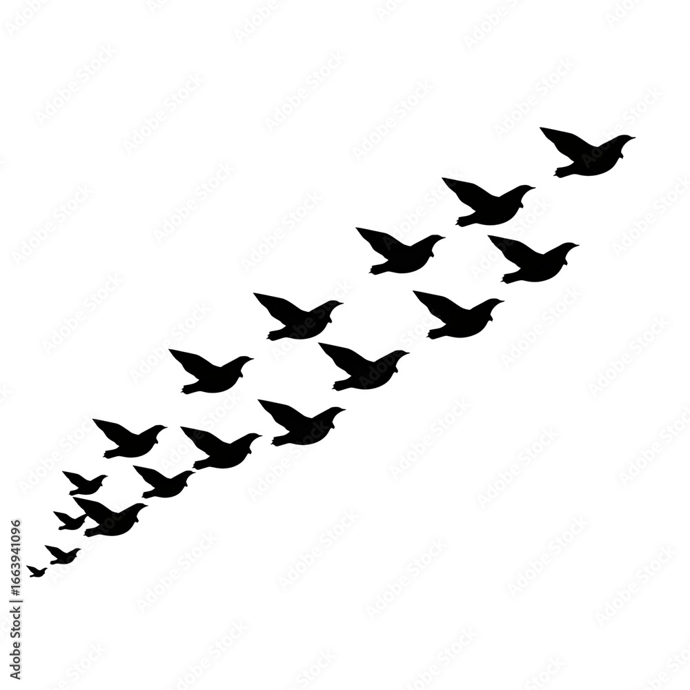 Fototapeta premium A delicate line of birds ascending into darkness symbolizing hope and freedom