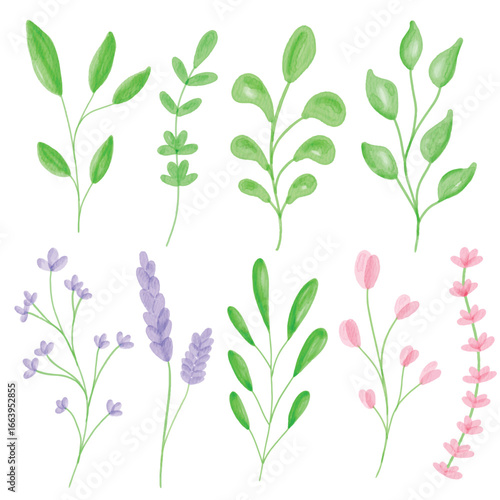 Watercolor floral branches collection