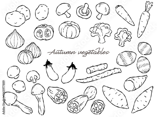 手描きのラフテイストな秋野菜のベクターイラストセット(モノクロ線画)