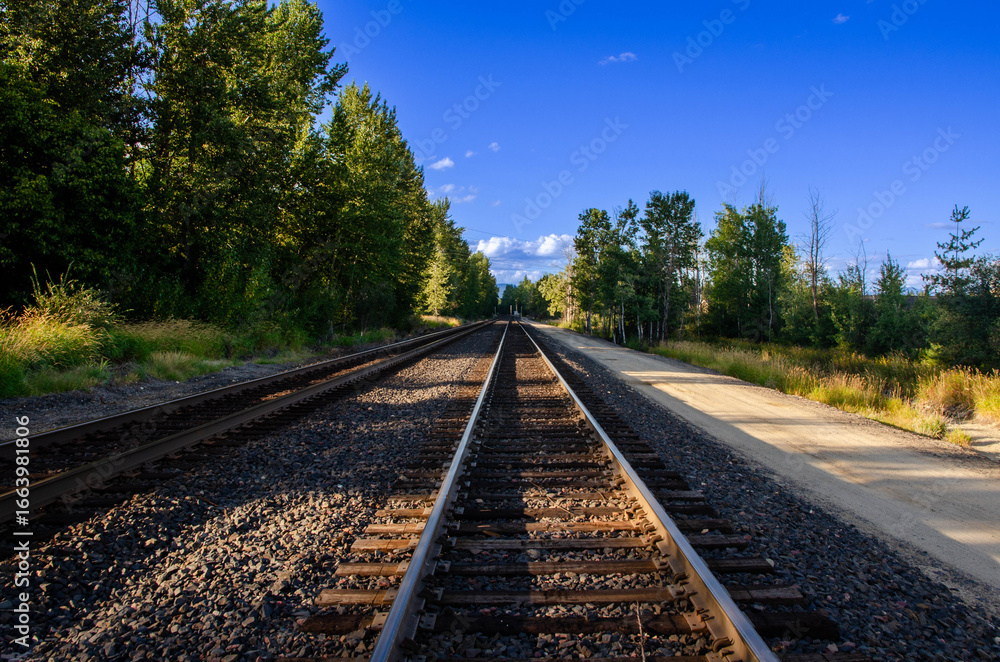 Fototapeta premium Railway Tracks Leading Through a Green Forest Under Blue Sky