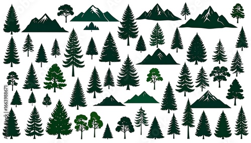 Silhouetted coniferous trees and mountains on a white background, nature vector