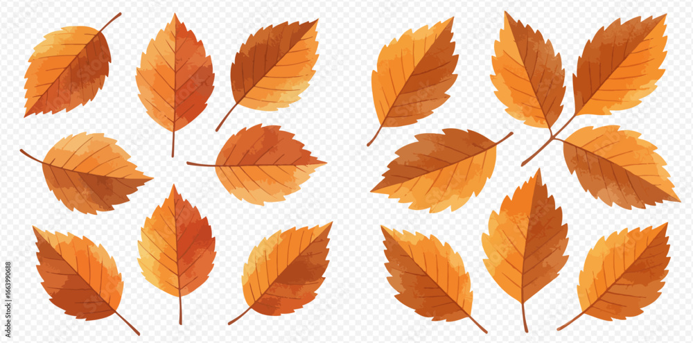 Obraz premium A beautiful collection of watercolor autumn leaves in warm shades of orange, yellow, and brown, isolated on a transparent background.