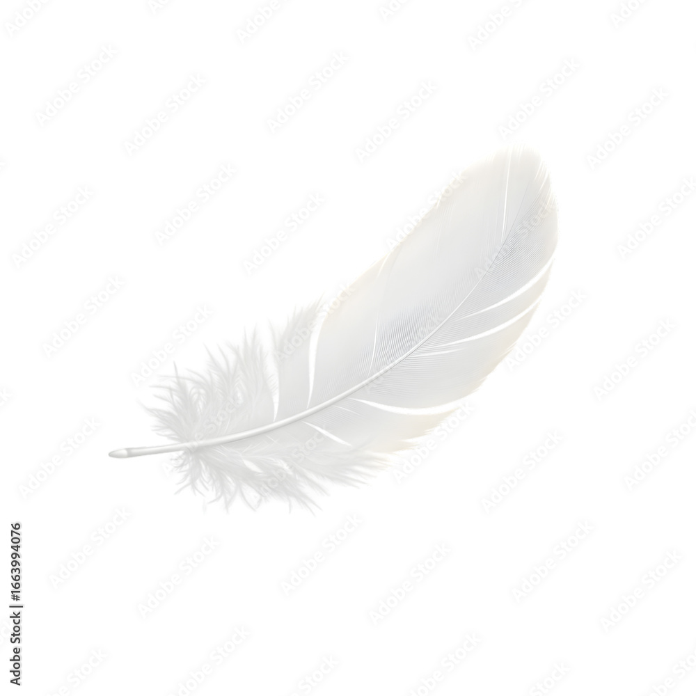 Obraz premium White Feather: Delicate Texture and Design Element