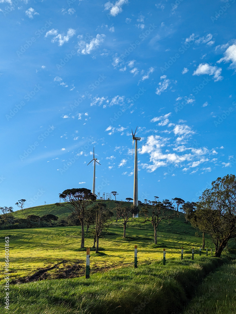 Fototapeta premium landscape with blue sky in wind farm