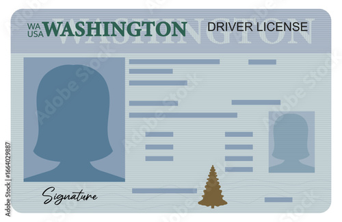 Washington driver's license with female silhouette isolated on white background. Person driver license