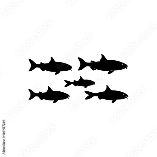 5 different catfish silhouette vector icons set on