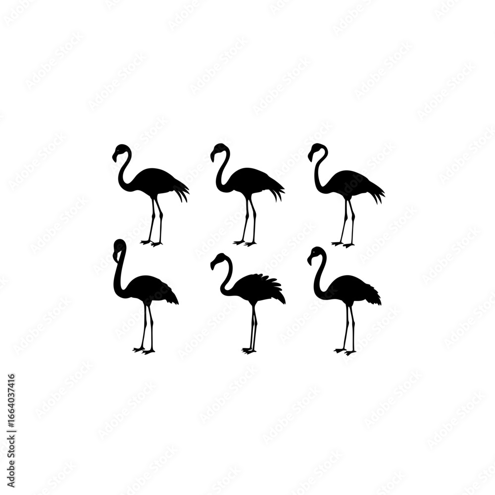 Fototapeta premium 6 different flamingo silhouette vector icons set o