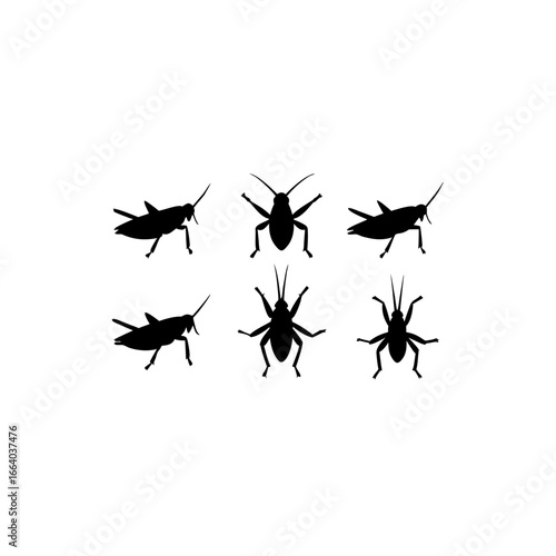 6 different grasshopper silhouette vector icons se