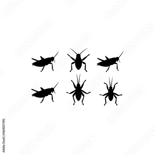 6 different grasshopper silhouette vector icons se