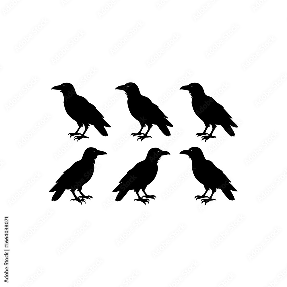 Fototapeta premium 6 different raven silhouette vector icons set on w