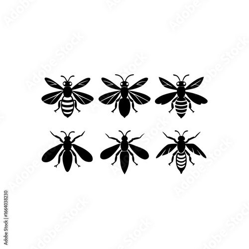 6 different wasp silhouette vector icons set on wh