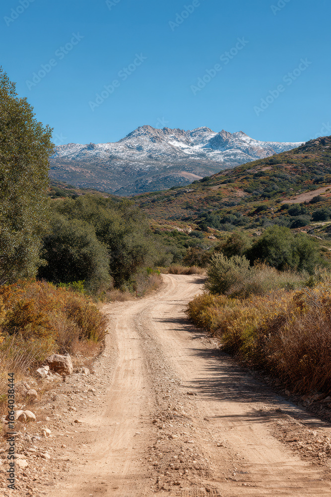 Fototapeta premium winding road meanders through lush forest leading to breathtaking landscapes beyond