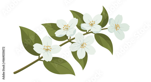 Delicate jasmine blossom branch showcasing pure white petals and verdant foliage