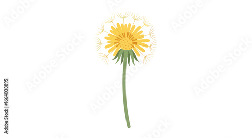 Stylized dandelion illustration with delicate seed heads on a clean backdrop