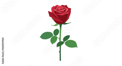 Crimson rose blossom with verdant foliage isolated on pristine backdrop design element with