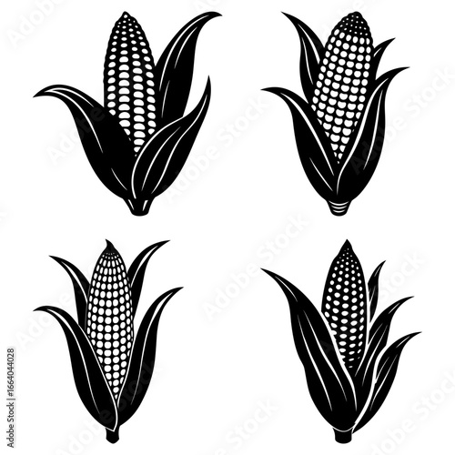 Four black and white corn cobs with husks in varying orientations on a white background design vector