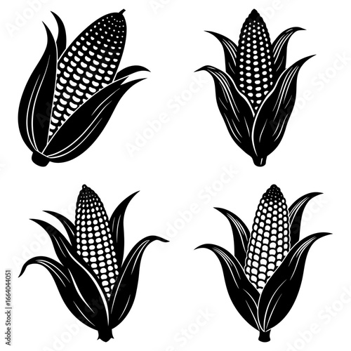 Four black and white corn cobs with husks arranged in a symmetrical pattern on a white background