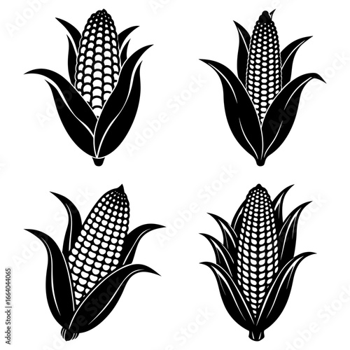 Four black and white corn cobs with husks arranged in a square formation on a white background scene