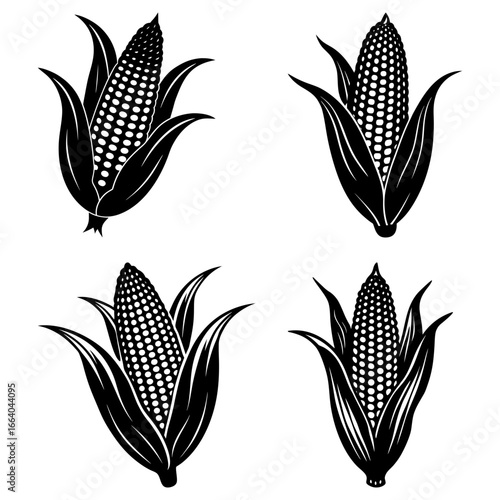 Four black and white corn cobs with husks in a symmetrical arrangement on a white background design element