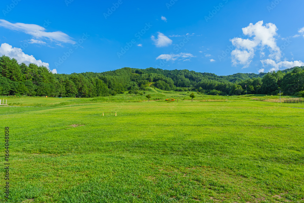 Fototapeta premium 原山市民公園（高山市） 夏