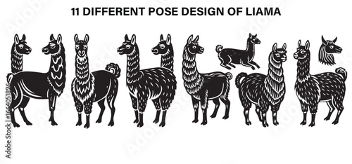 Majestic Trekkers – Llama Life