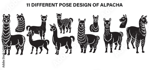 Soft Charm of the Andes – Alpaca Beauty