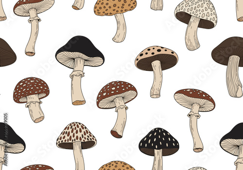 A delightful collection of illustrated wild mushrooms showcasing diverse shapes and captivating patterns perfect for any nature enthusiast's design