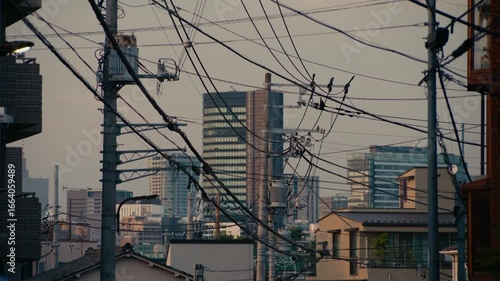 Tokyo Twilight Street Scene with Power Poles and Apartments – Evening settles in with warm lights glowing from city apartments as cables fill the sky.