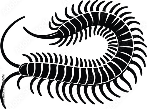 Dangerous centipedes insect silhouette vector illustration isolated on white background