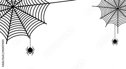 Detailed vector illustration of two spooky black and white spider webs with hanging spiders, ideal for Halloween, eerie nature themes, or decorative creepy designs