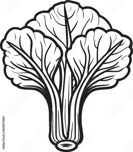 Bok Choy icon clean simple outline