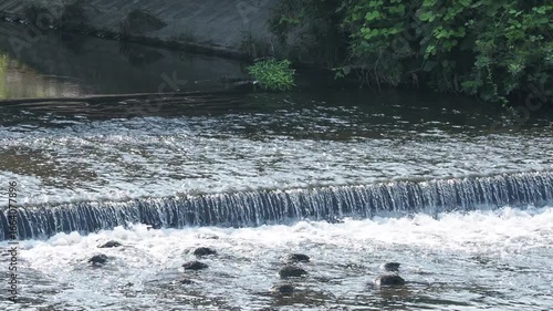 河辺の風景