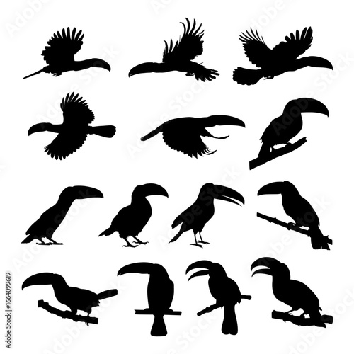 toucan bird silhouettes collection