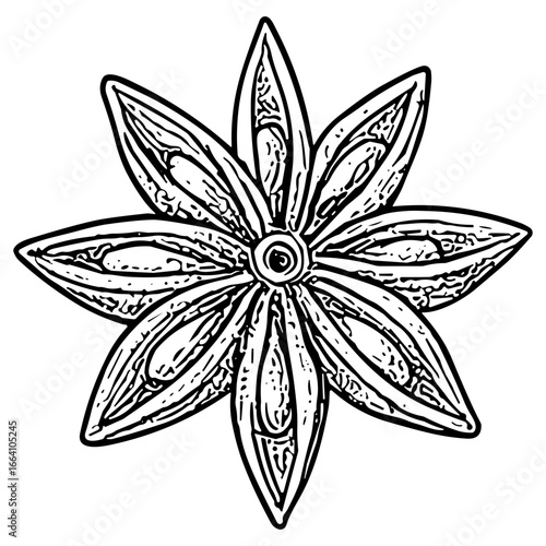 Star Anise