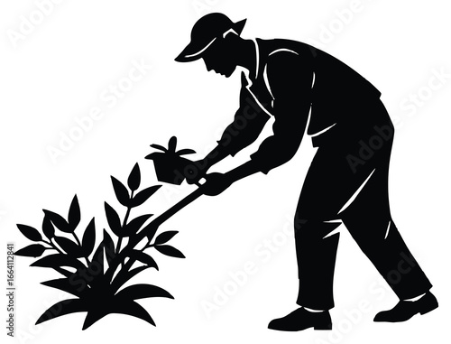 Silhouette of a gardener planting flowers and tending to a bush with leaves