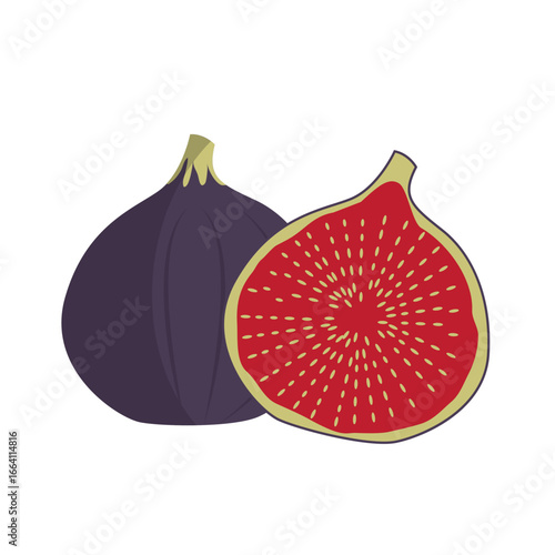 Ripe Fresh Figs Vector Illustration
