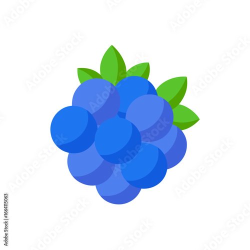 Vibrant blue raspberry cluster berry vector illustration scalable graphic for food and health designs