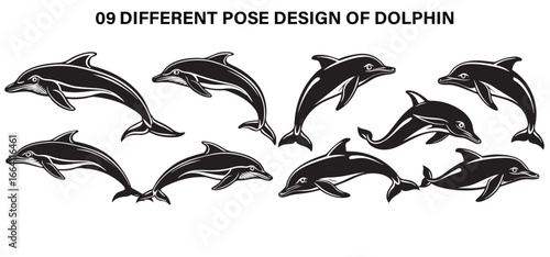 Graceful Swimmers of the Sea – Dolphin Spirit