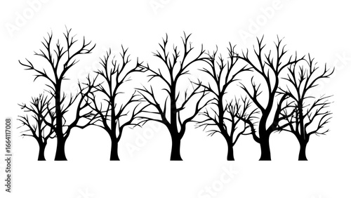 Silhouette illustration of a row of bare trees with intricate branches against a white background in winter time