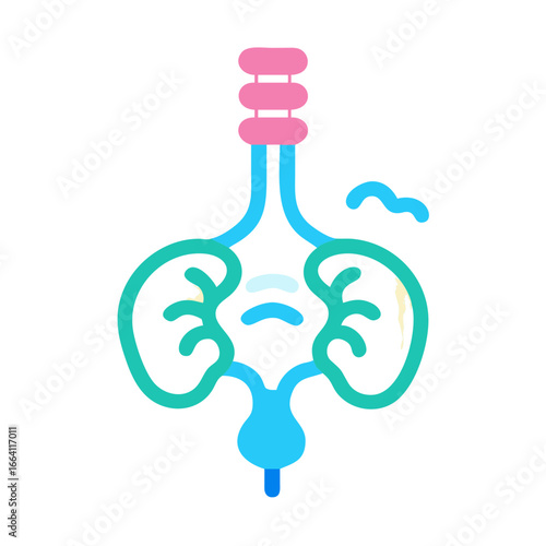 Minimalist illustration of human urinary system in graphic style