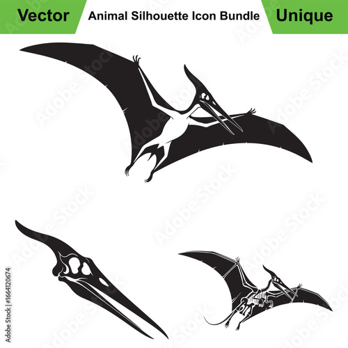 Pteranodon Anatomy Trio with Soaring Pose, Skull, and Skeleton