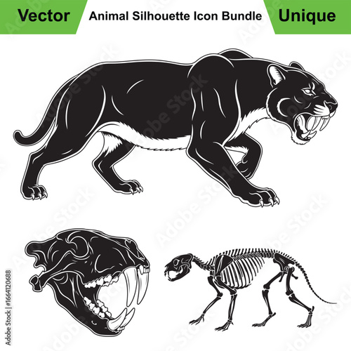 Saber Toothed Cat Anatomy Set with Pouncing Pose and Skull