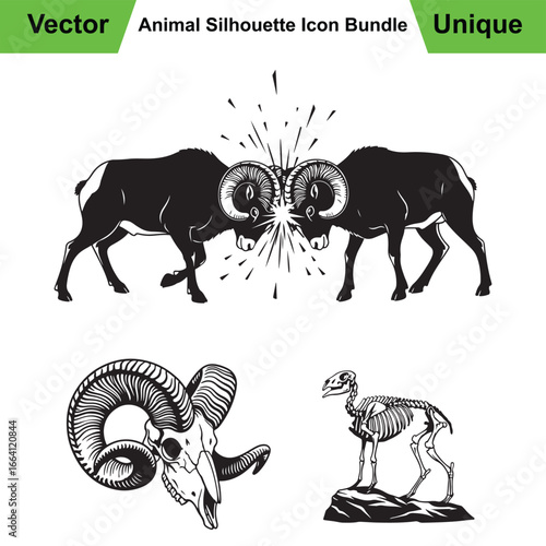 Ram Anatomy Collection with Clashing Pose, Detailed Skull, and Skeleton
