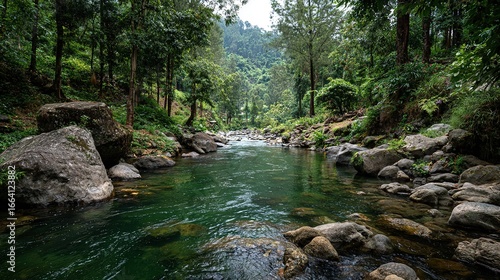 Shallow River with Big Boulders and Rocks, Ciliwung River in Bogor, Indonesia with Forest on the Side