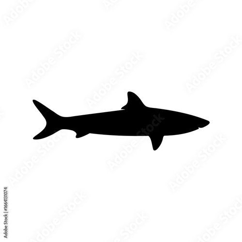 Silhouette of a shark in the ocean swimming and looking forward