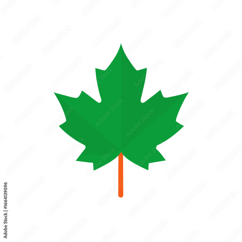 Fototapeta premium Vibrant green maple leaf autumn detail vector illustration scalable graphic