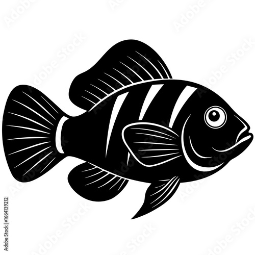 Oscar Fish Illustration SVG

